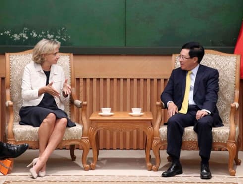 Deputy PM elated at growing Vietnam-France strategic partnership