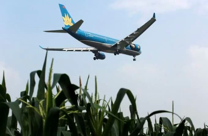 Vietnam Airlines reports lower H1 profit