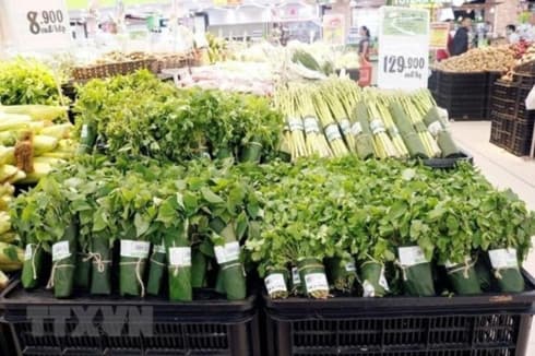 Vietnam ranks 52nd globally on sustainable development