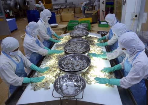 Trade pacts bring opportunities for seafood industry's sustainable growth