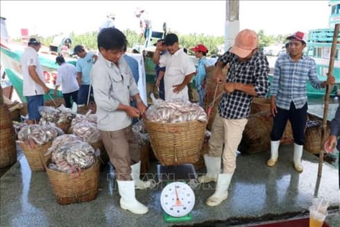 Kien Giang steps up efforts against IUU fishing