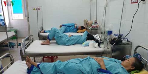 Da Nang sets up specialised teams to combat dengue fever
