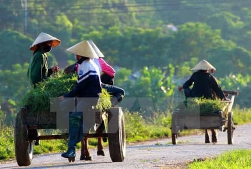 Over 5,400 communes nationwide become new-style rural areas