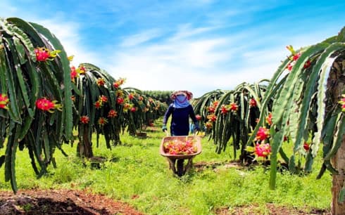 Vietnam to boost exports via retail channels