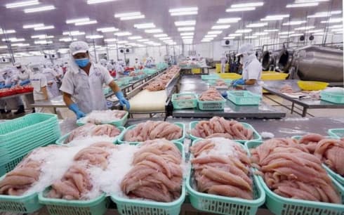 Agro-forestry-fishery exports generate 23.03 billion USD in seven months