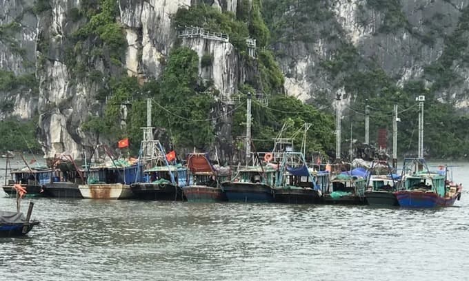 Ha Long Bay bans sailing as storm Wipha near