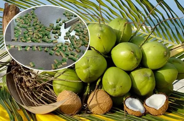 Vietnamese enterprises struggle to protect trademarks