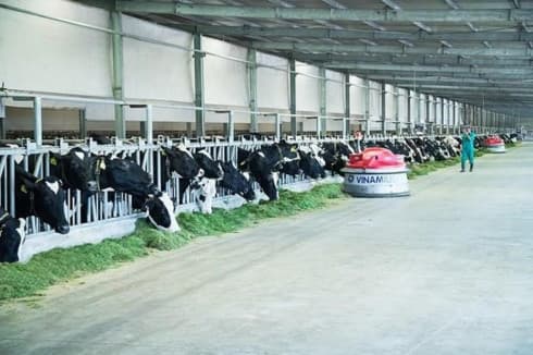 Vinamilk continues to lead Forbes Vietnam’s top 50 brands list