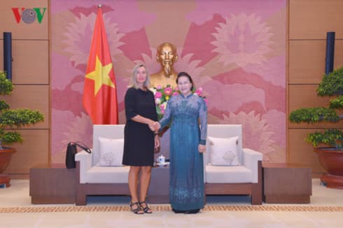 EU regarded as Vietnam’s important partner