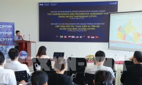 Da Nang seeks business cooperation opportunities with Canada