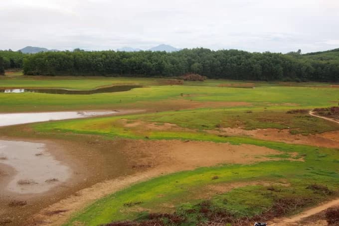 Drought puts central Vietnam irrigation lakes out to pasture