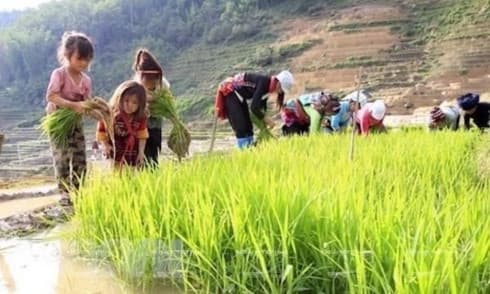 Policy dialogue on child labour towards supply chain transparency