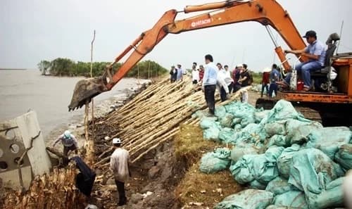 Mekong Delta province issues emergency warning over coastal erosion