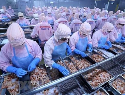 An Giang dialogue to remove hurdles for local investors