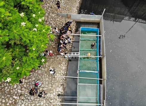 Japanese expert declares Hanoi river water treatment success