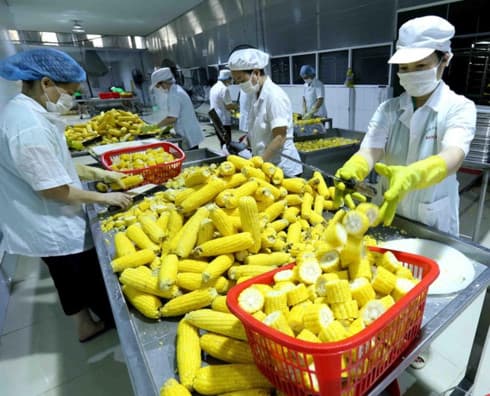 Processing, manufacturing firms expect better performance in Q3