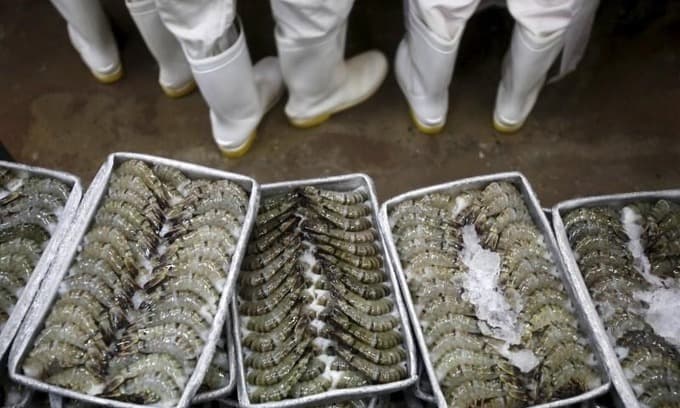 Seafood exports to China could recover in second half