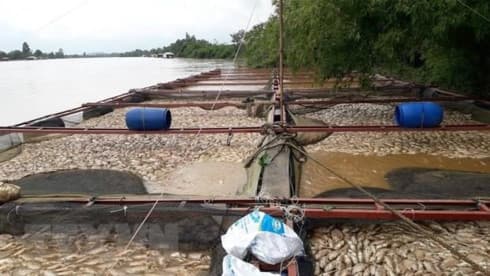 Urgent relief aid provided for flood-hit households in Dong Nai