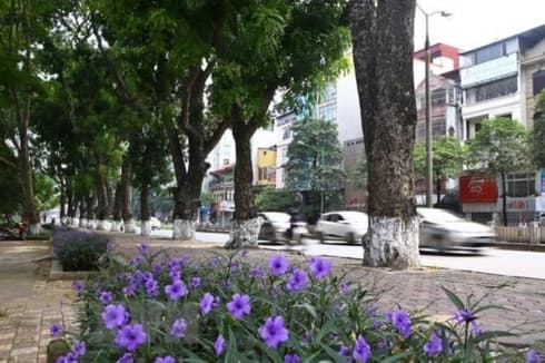 Seminar suggests green ideas for Hanoi