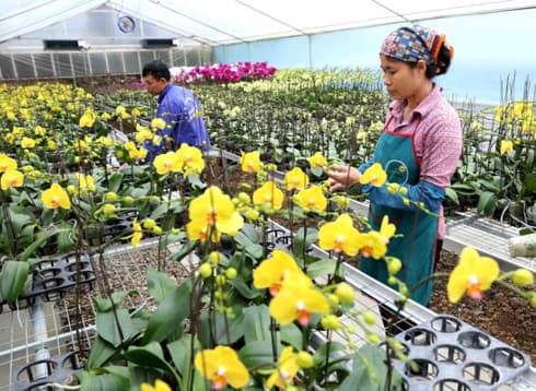 Over 84 percent of Hanoi’s communes gain new-style rural area status