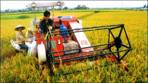Technology application in agriculture strengthened