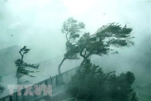 Workshop studies how technology can help cope with natural disasters