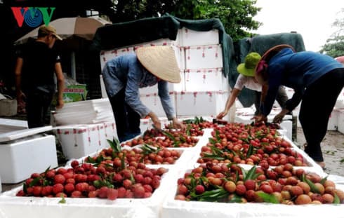 China tightens veggie and fruit import requirements for Vietnam
