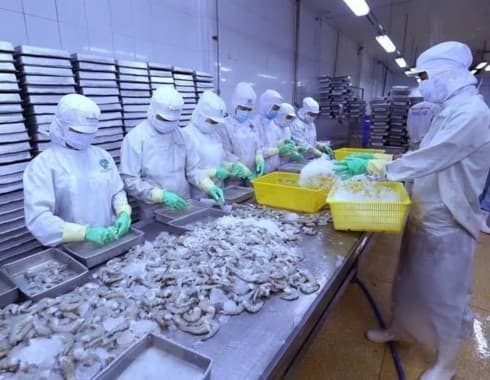 HCM City to host Vietfish expo later this month
