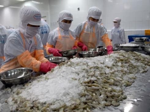 Shrimp export to China sees positive signs