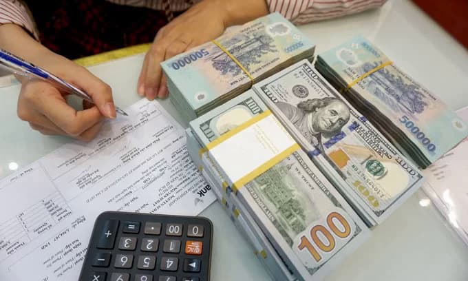 Vietnam likely to keep dong strong this year
