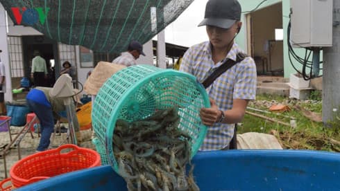 Aquatic exports fall slightly, but imports edge up