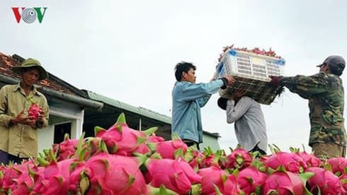 Agricultural exports rack up US$26 billion in eight months