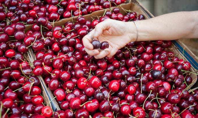 Consumers enjoy some fruits of US-China trade spat