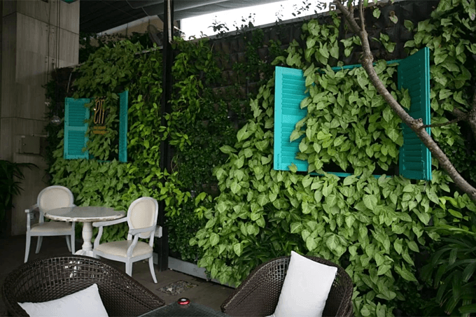 A garden on the wall that is a café in downtown Saigon