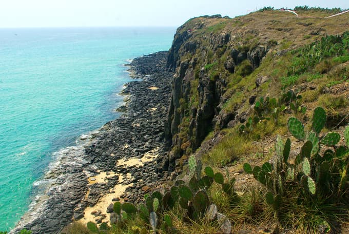 A treasure bequeathed by millions of years of evolution in Phu Yen