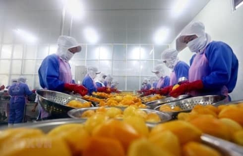Vietnam’s export turnover up 7.3 percent in eight months