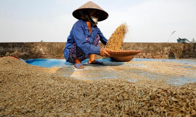 China no longer top buyer of Vietnamese agriculture produce