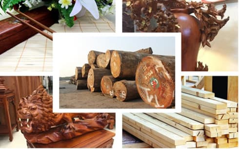 Forestry exports rise 18 per cent in eight-month period