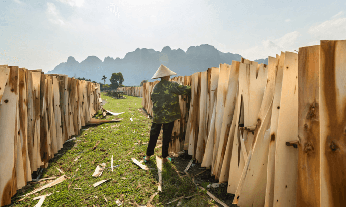 Vietnam suspects China hand in plywood export surge