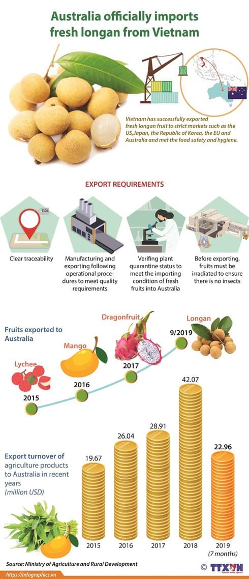 Australia officially imports fresh longan from Vietnam