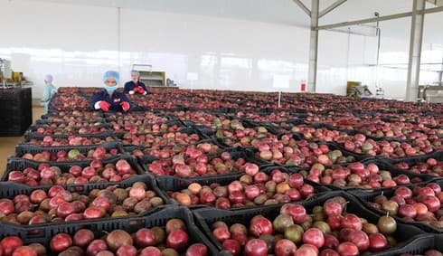 Central Highlands’ largest fruit, vegetable processing centre opened