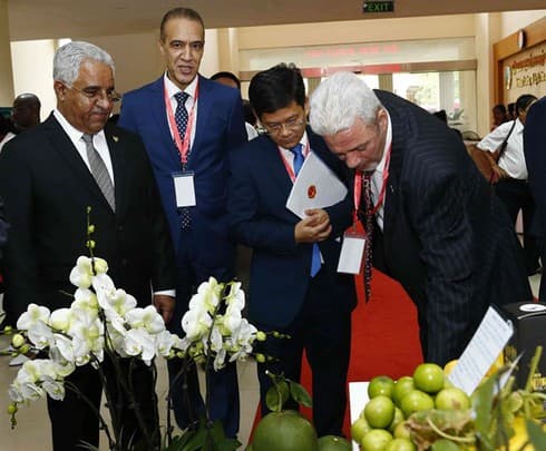 Workshop focuses on Vietnam’s agricultural ties with Middle East, Africa
