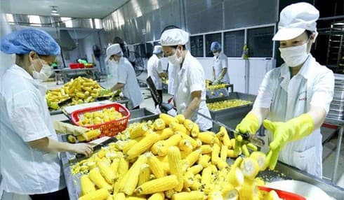 Door open wide for farm produce export to Europe