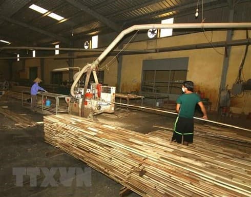 Wood processing firms should embrace technologies: experts