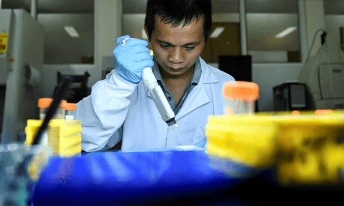 Mosquito trials raise hopes of defeating dengue
