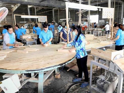 Vietnam likely to gain 11 billion USD from wood, forest products