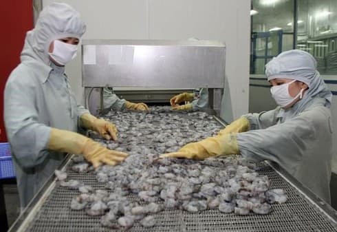 Shrimp export falls 8.1 percent in eight months