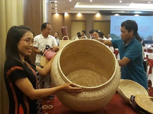US-funded project helps develop rattan, herbal plants in Quang Nam