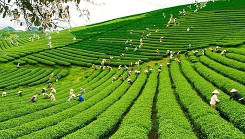 Vietnam urged to raise intellectual property awareness
