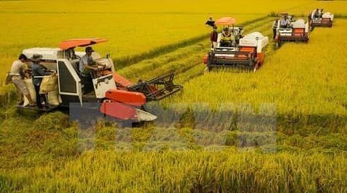 Can Tho leads Mekong Delta region in rural development